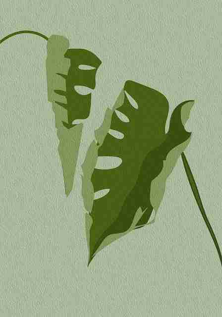 蘑菇视频电脑版（最新版）：全景推荐与新手入门
